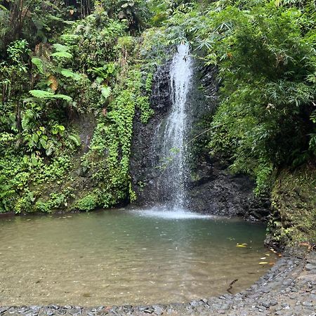 Le Ketmie Nature Et Decouverte Fond-Saint-Denis Luaran gambar