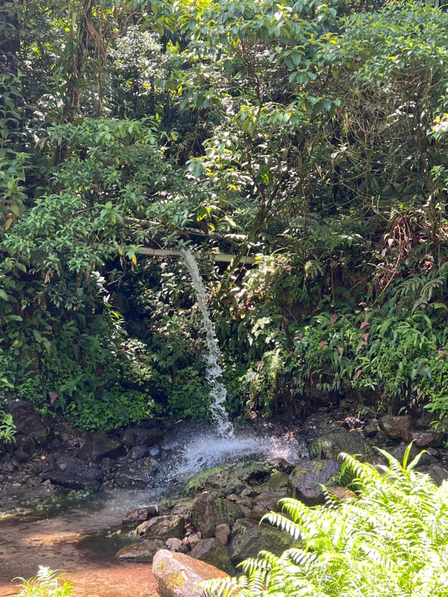 Le Ketmie Nature Et Decouverte Fond-Saint-Denis Luaran gambar