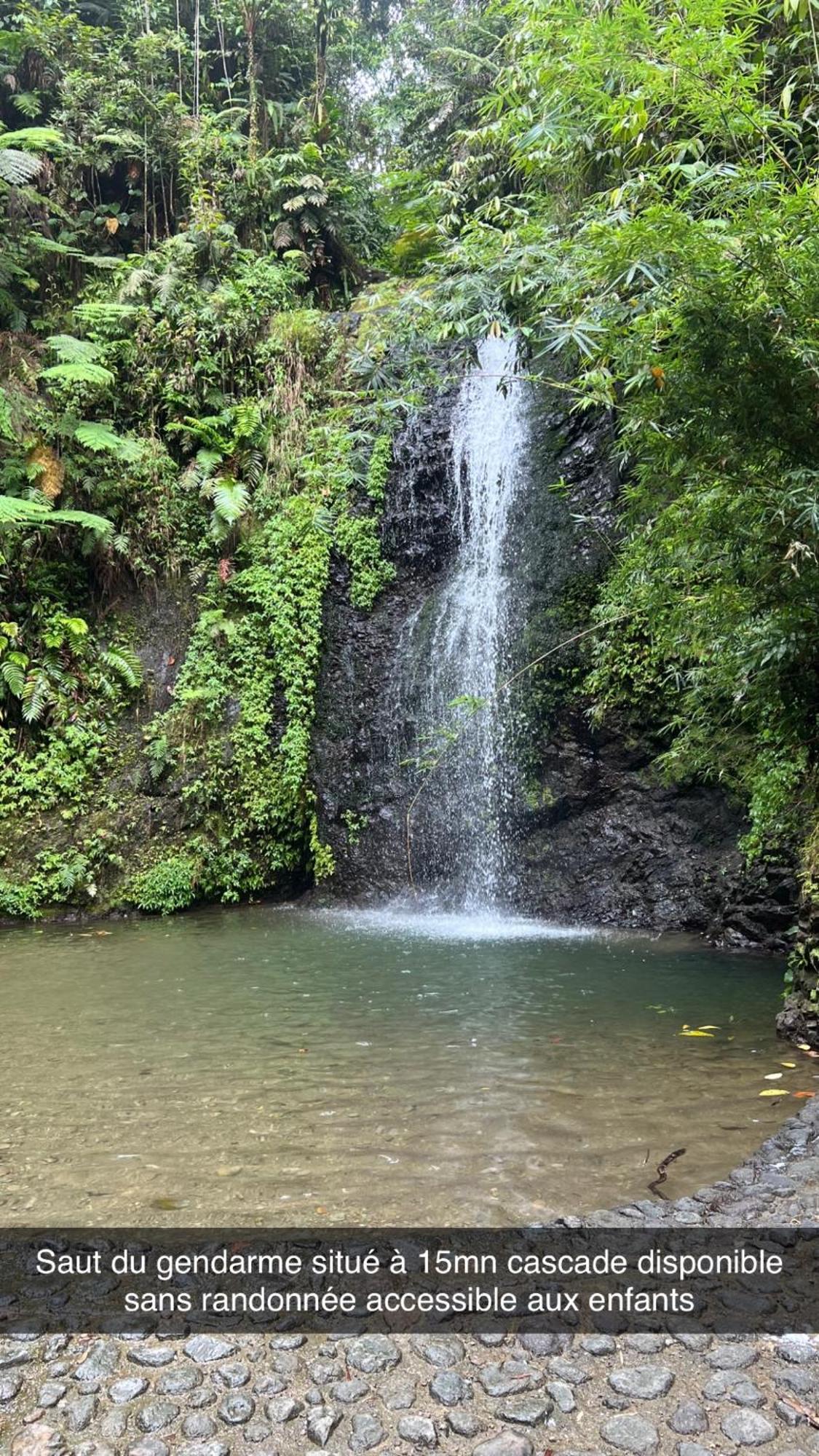 Le Ketmie Nature Et Decouverte Fond-Saint-Denis Luaran gambar